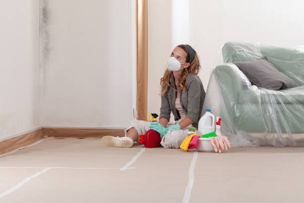 Reliable Basement Mold Remediation contractor in Chalfont, PA by Car Mold Remediation